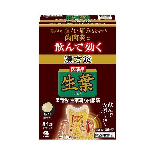 【第2類医薬品】 生葉漢方錠 生葉漢方内服薬 84錠 - 小林製薬 [排膿散及湯/ハイノウサンキョウトウ]