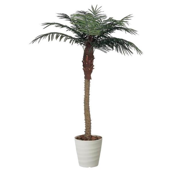 光触媒搭載210cm大型人工観葉植物の完全ガイド