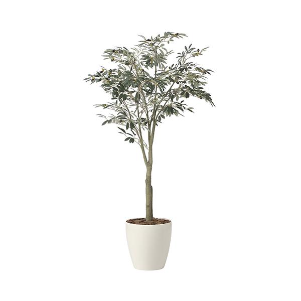 光触媒技術搭載オリーブツリー2437A450の魅力を分析