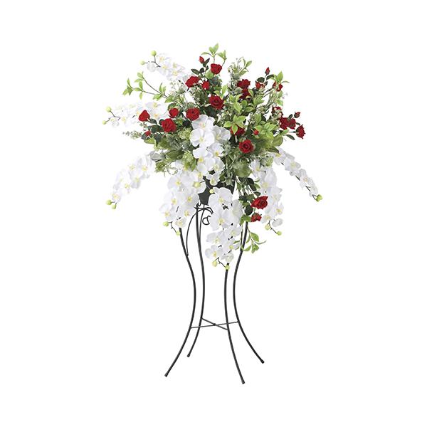 光の楽園2460A500 ノーブルキングの魅力と使い方