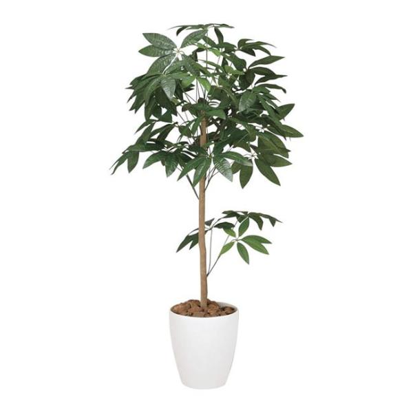 カリモク karimoku 傘立て 植木 樹木 観葉植物入れ ゴルフクラブ KARIMOKU CAT KARIMOKU CAT TREE / カリモクキャット | 家具