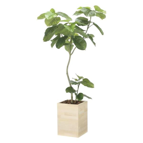 光触媒技術で快適空間を作る人工観葉植物180cm