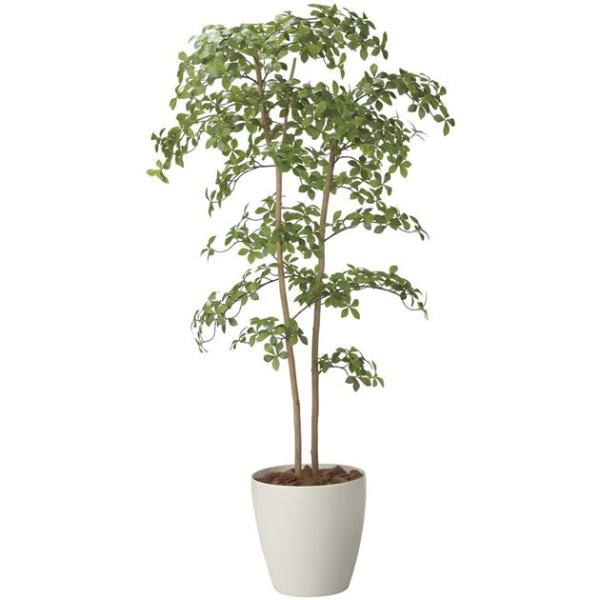 光触媒搭載180cm人工観葉植物の魅力と選び方