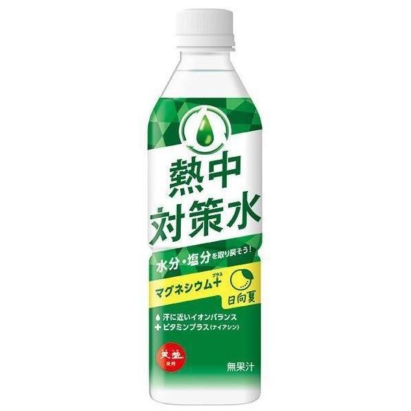 熱中対策水 熱中対策水 日向夏味 500mL×24 : ケンコージョイ