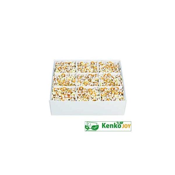 ᑗ₹˂񋄃It@ɐ@M[@2000_