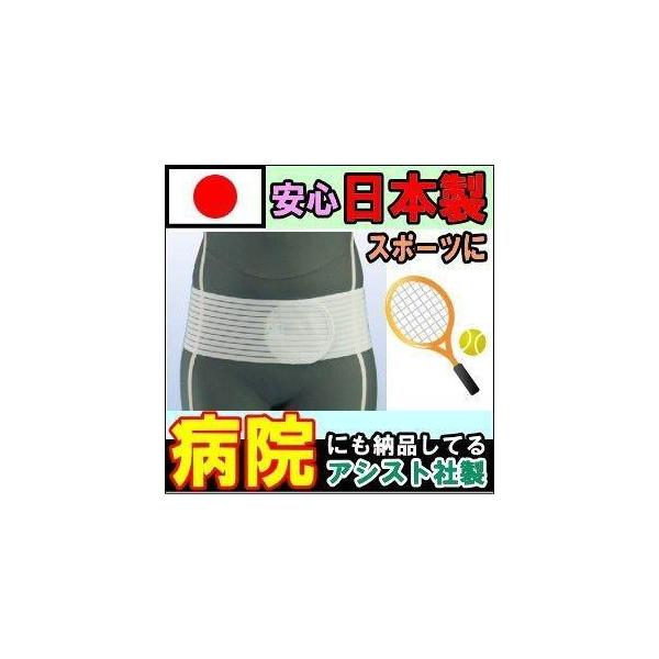 発売元、製造元、輸入元又は販売元：アシスト