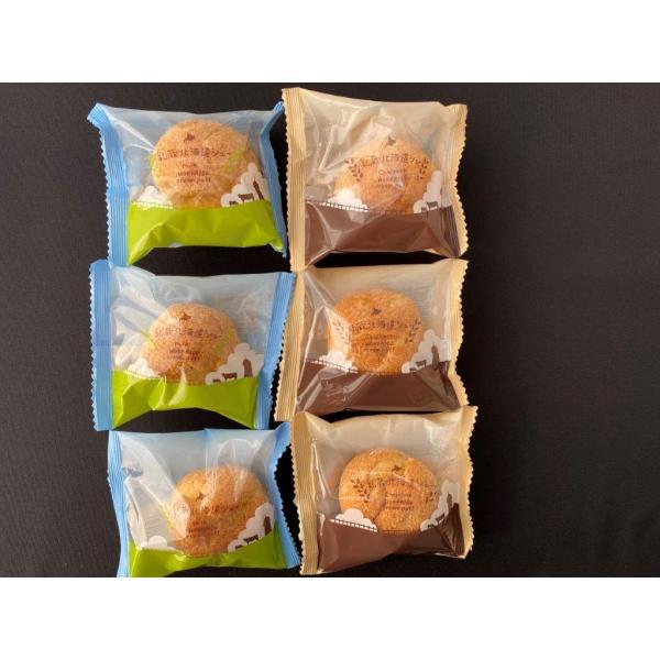 [Release date: March 20, 2025]北海道産の生クリームを使用しクッキー生地の皮に詰めた乳蔵オリジナルの生シュー。味はミルクとチョコの2種をセット。【さまざまなギフトシーンでお使いいただけます】　お祝い返し・内祝い・...