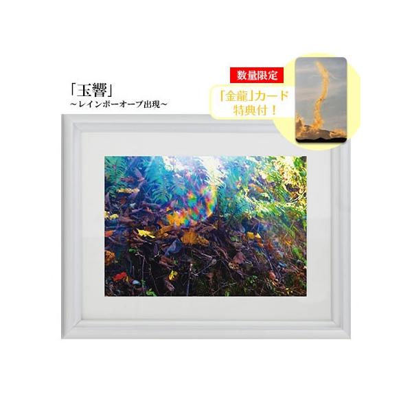 H Ղ̎ʐ^ 2L ʋ C{[I[uo J[h Tt ≖ʐ^ J^ObY ^C Abv