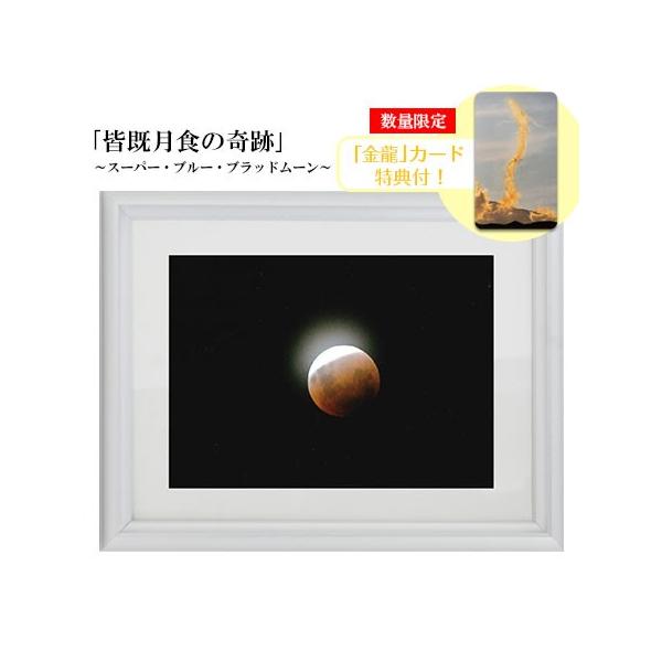 H Ղ̎ʐ^ 2L FH̊ X[p[ u[ ubh[ J[h Tt ≖ʐ^ J^ObY ^C Abv