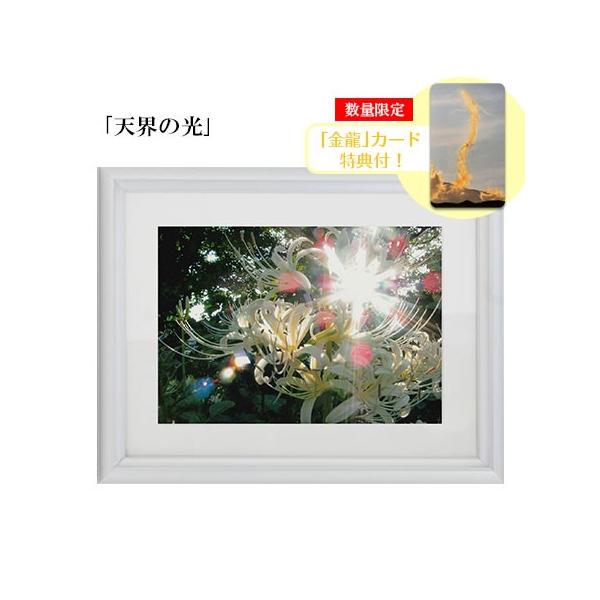 H Ղ̎ʐ^ 2L VĚ J[h Tt ≖ʐ^ J^ObY ^C Abv