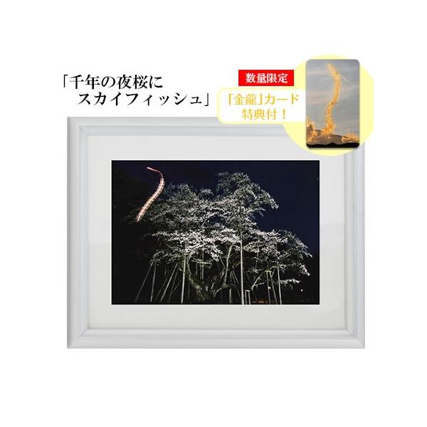 H Ղ̎ʐ^ 2L N̖ɃXJCtBbV J[h Tt ≖ʐ^ J^ObY ^C Abv