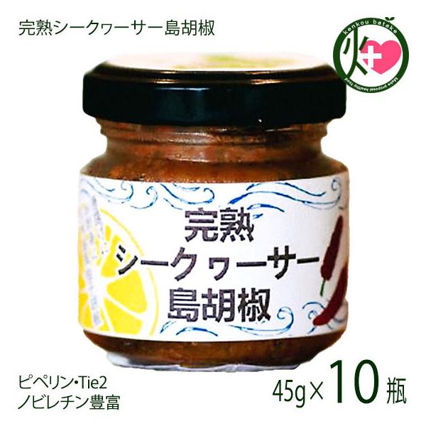 nV[N[T[Ӟ 45g×10{ AObgvē  lC yY  Ӟ V[N[T[ʔ sy mr`Lx