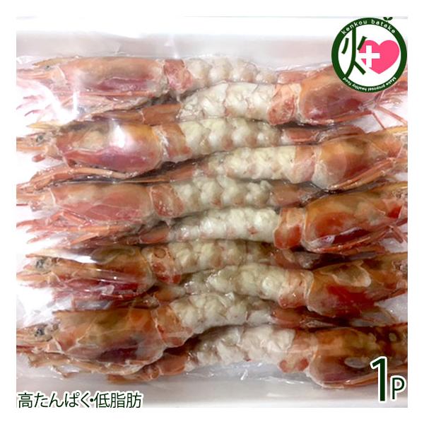 Hp ԊCV Lނ 2L 17cmȏ 10×1P t쏤X {錧 x CN  𓀂ŕ֗ hgɂ