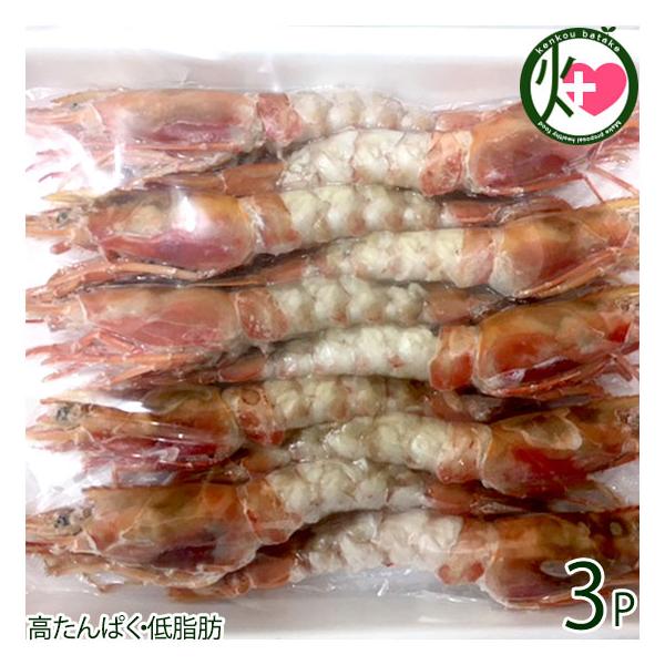 Hp ԊCV Lނ 2L 17cmȏ 10×3P t쏤X {錧 x CN  𓀂ŕ֗ hgɂ