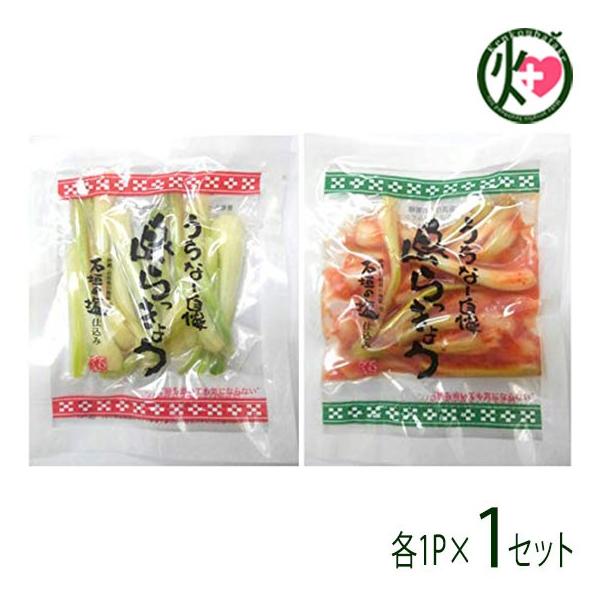 ꌧY 傤 Ђ L` e50g e1P×1Zbg łt[Y  C`IV ܂ AV