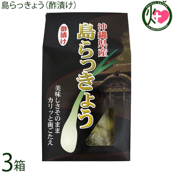 島らっきょう（酢漬け）60g×3箱 大幸商事
