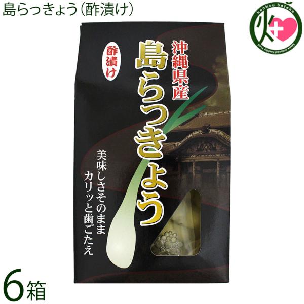 島らっきょう（酢漬け）60g×6箱 大幸商事
