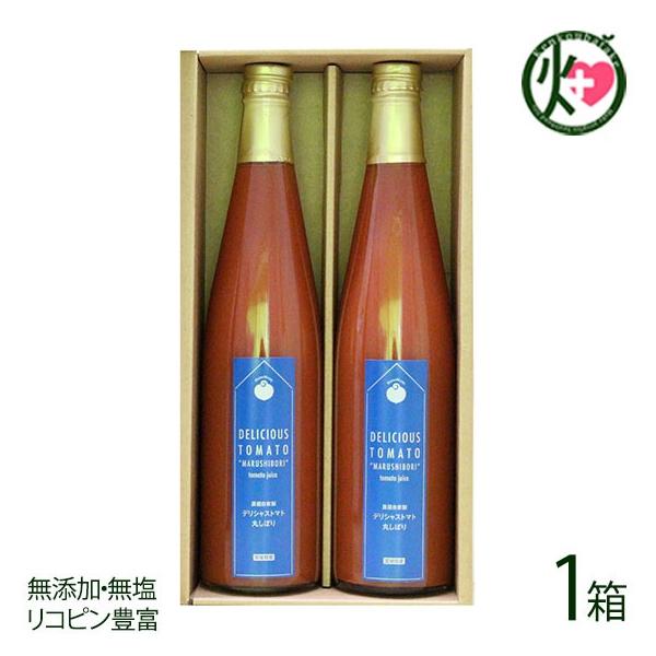 Mtg ϔ fVXg}gۂڂ 500g×2{×1 fVXt@[ {錧 lC ؈ x p