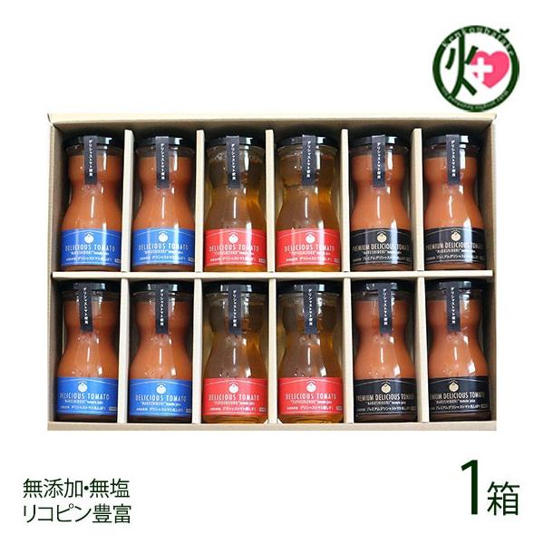Mtg ϔ fVXg}g3ݔ 100g×12{×1 fVXt@[ {錧 lC x p