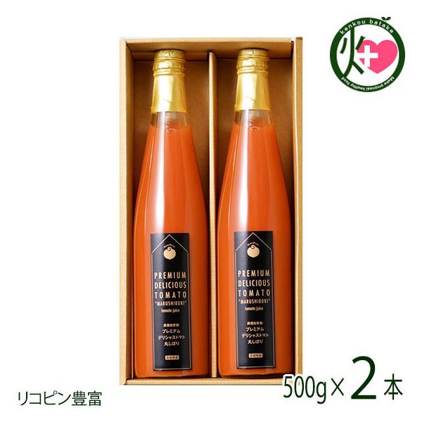 Mtg v~AfVXg}g v~Aۂڂ 5002{Zbg fVXt@[ {錧 Y g}gW[X p