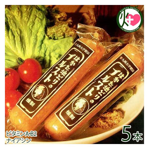 hg ͂nǂ̃uXg (5{)  yY  y \[Z[W n{R[QŎ|݋Ïk r^~AEB2