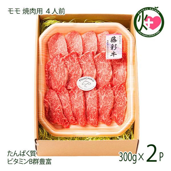 BY јa ʋ A4`A5  ēp 300g×2P 4lO tW`N ς r^~B12 p yY i BBQ Ԍ