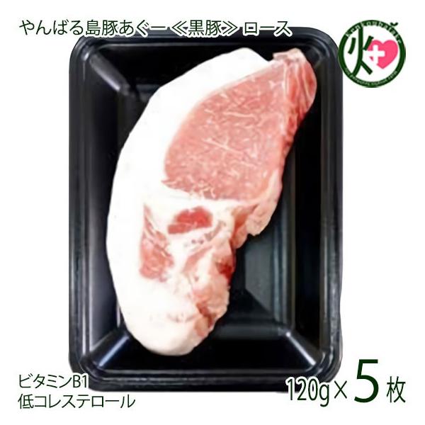 ΂铇؂[  [X gJcp 120g×5 tbV~[gȂ  yY AO[ [ Md  lC r^~B1Lx