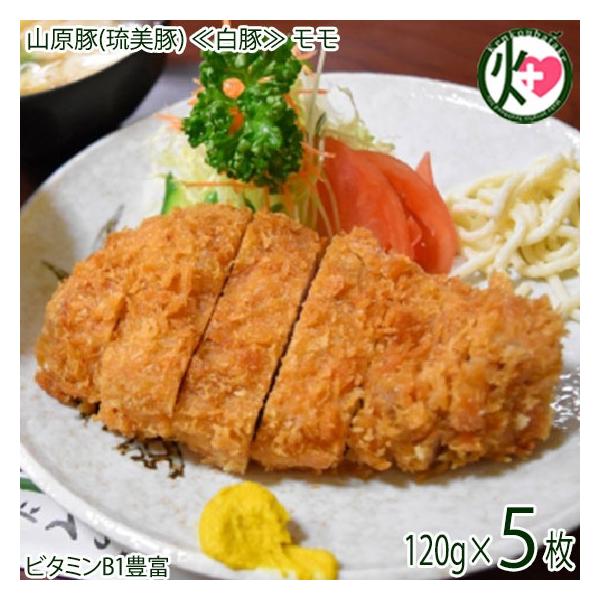 Mtg ϔ R() ᔒ؁  gJcp 120g×5 tbV~[gȂ  AO[  