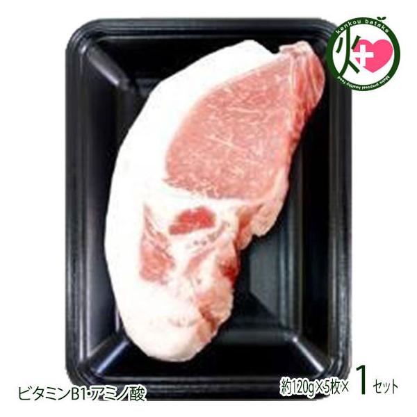 Mtg R   [X Ƃ񂩂p 120g×5 tbV~[gȂ  yY lC ؓ p 蕨