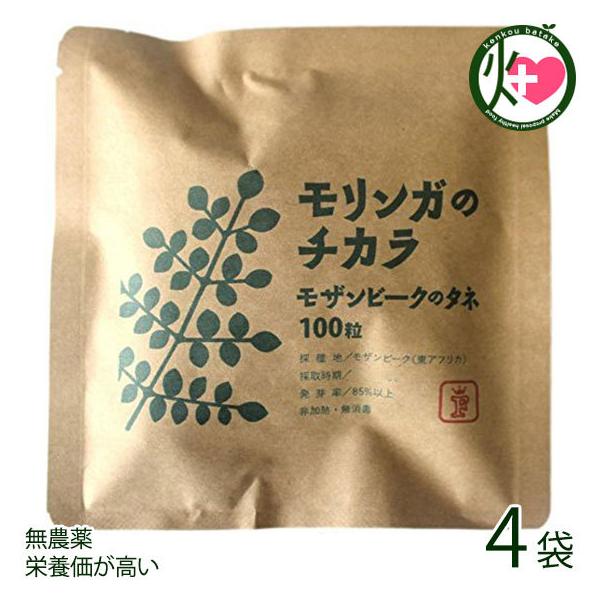 K̃`J Ur[Ñ^l 100×4 Free Our Soul K   yY Md Tv h{