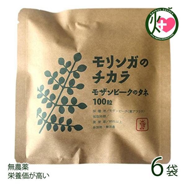 K̃`J Ur[Ñ^l 100×6 Free Our Soul K   yY Md Tv h{