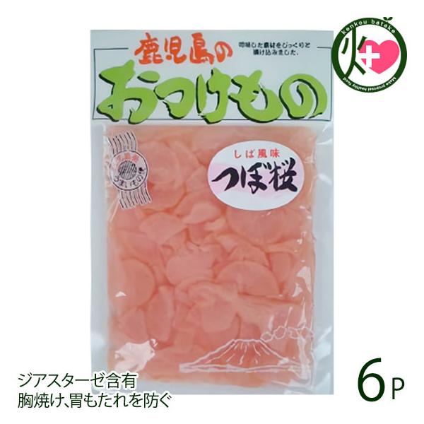 ڍ 140g×6 ӂЕ  lC yY Y Y̊卪 h̕ WAX^[[ܗL