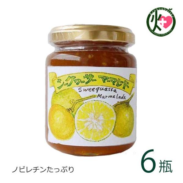 }[}[h V[N[T[ 140g×6r ̂WH[  yY V[N[T[ 炲 ꖡT }[}[h mr`