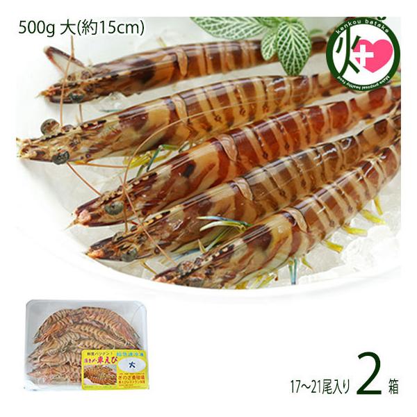 }Ⓚ XY Ԃ  500g (15cm) 17`21×2P X{B