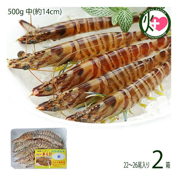 }Ⓚ XY Ԃ  500g (14cm) 22`26×2P X{B