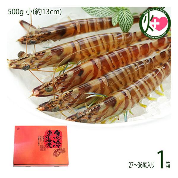 Mtg }Ⓚ XY Ԃ  500g (13cm) 27`36×1 X{B