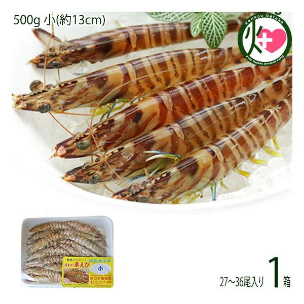 }Ⓚ XY Ԃ  500g (13cm) 27`36×1P X{B