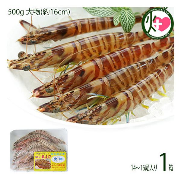 }Ⓚ XY Ԃ  500g 啨(16cm) 14`16×1P X{B