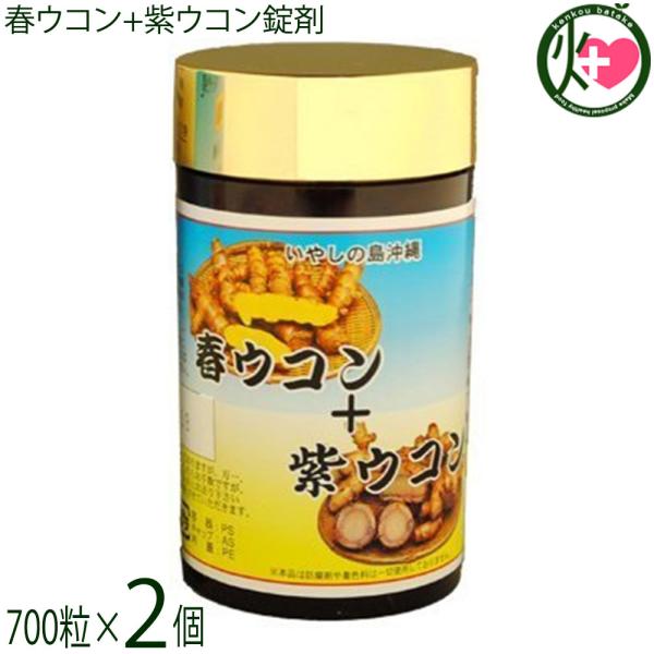 tER+ER 700×2 Ð  yY NǗ  T Eb` X̌Nێ