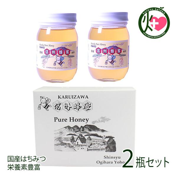 Mtg YAJVA݂͂ r 500g×2r Mtg {I 쌧 MB 鍁荂~c h{fLx p 蕨