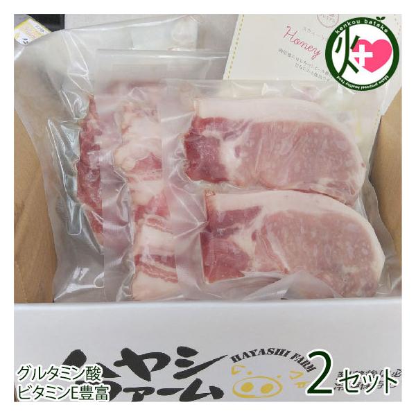 Mtg MB nj[xCu nVt@[ v~A Ƃ񂩂p ؂ Ԃ 2Zbg  ؓ 