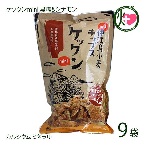 PbNmini &amp;Vi 60g×9 ɍ]`bvX ق̂ÂI  