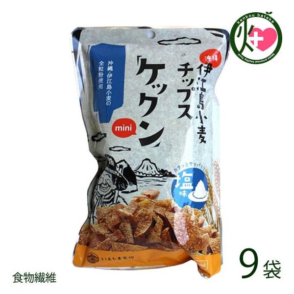 �P�b�N��mini �� 60g×9�� ����ɍ]�������`�b�v�X �N�Z�ɂȂ�|���I �����