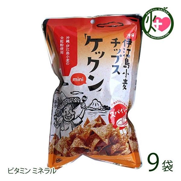 �P�b�N��mini �X�p�C�V�[ 60g×�X�� ����ɍ]�������`�b�v�X �N�Z�ɂȂ�E�}�h��