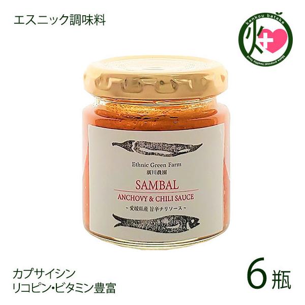 サンバルソース 80g×6瓶 ISフーズ 愛媛県 土産 人気 調味料