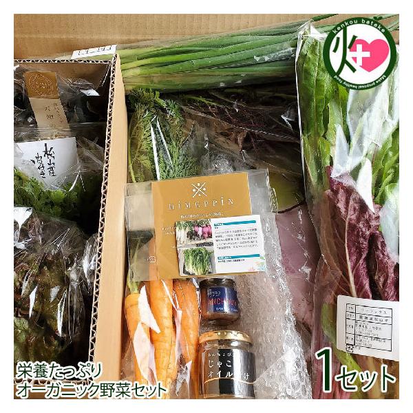 [Release date: January 5, 2026]【内容量】・国産アンチョビ45ｇ 1本・あんちょび入りじゃこのオイル漬け80ｇ 1本・季節のおまかせ野菜セット※5〜7種類収穫時期によって内容は変わります◆配送スケジュール◆毎週...