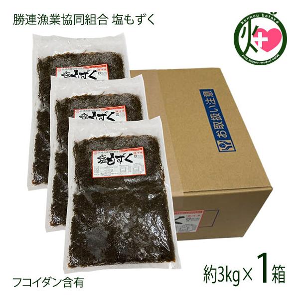 塩もずく5kg(容器)×1箱 勝連漁業協同組合 沖縄 土産 人気 もずく フコイダン