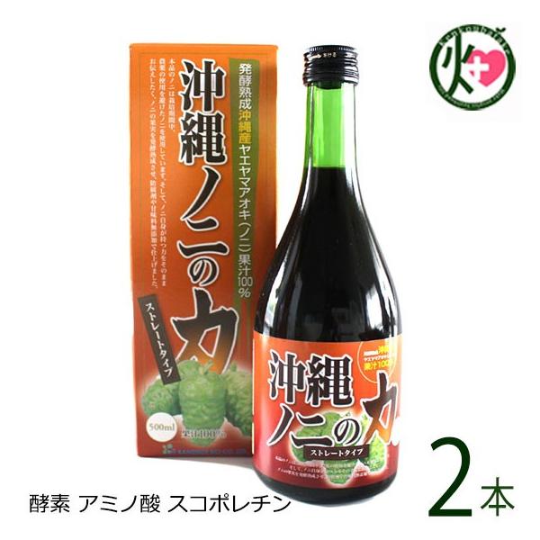 mj̗ 500ml×2{ GoCI  yY lC N n[ut[c ꌧYmjʎgp ʏ`100% ̌Nێ