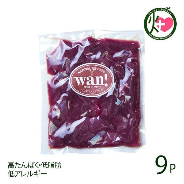 TCR 300g×9P AñWrG RR Ɍ lC yY i`ybgt[h ςEᎉb AM[