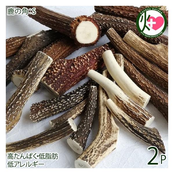 {B̊p STCY×2P AñWrG RR Ɍ lC yY i`ybgt[h XgX JVEێ ςEᎉb